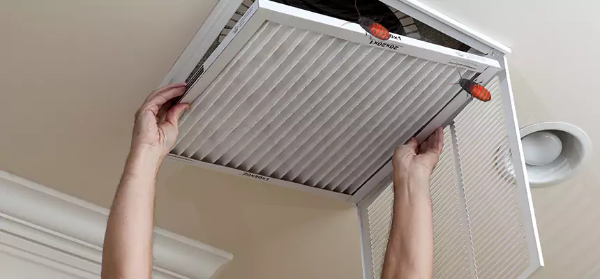 Preventive Cockroach-Proofing for Ducts in Elk Grove