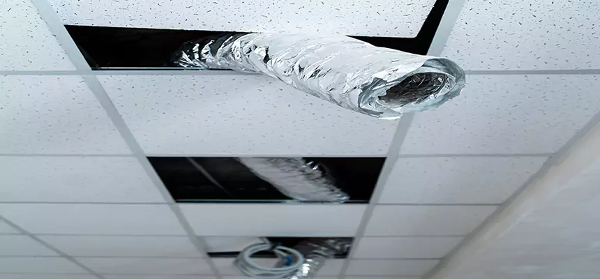 Affordable HVAC Sanitizing After Pest Removal in Elk Grove