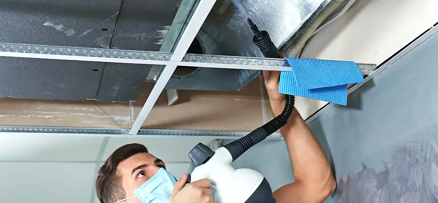Our Air Duct Rodent Removal Services in Elk Grove, CA