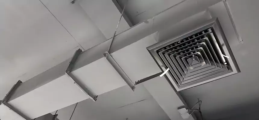 Our Rodent Droppings In Vents Services in Elk Grove, CA