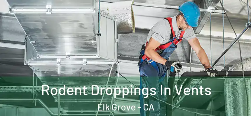  Rodent Droppings In Vents Elk Grove - CA