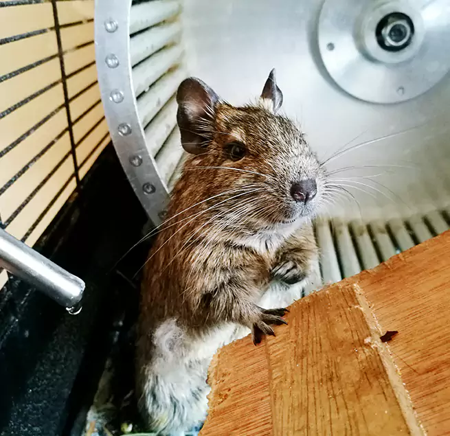 Why Homeowners & Businesses Trust Us Elk Grove, CA?