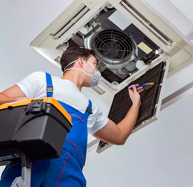 Why Homeowners & Businesses Trust Us in Elk Grove, CA?