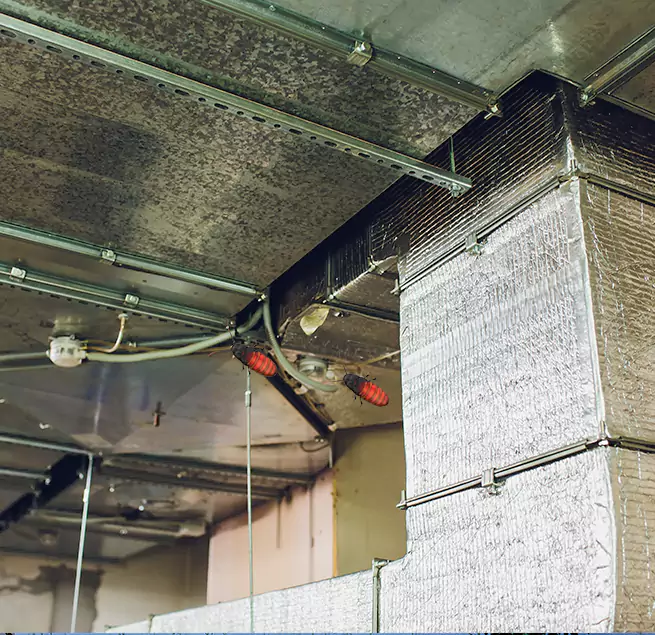 Why Homeowners & Businesses Trust Us Elk Grove, CA?