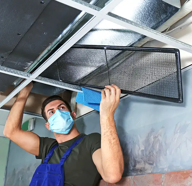 Why Homeowners & Businesses Trust Us in Elk Grove, CA?